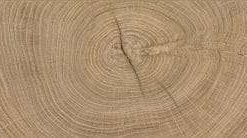 Pavimento Laminado-Tarima Flotante Kaindl K4381