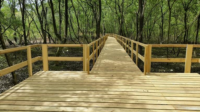 Instalacion de Tarima Pino Exterior