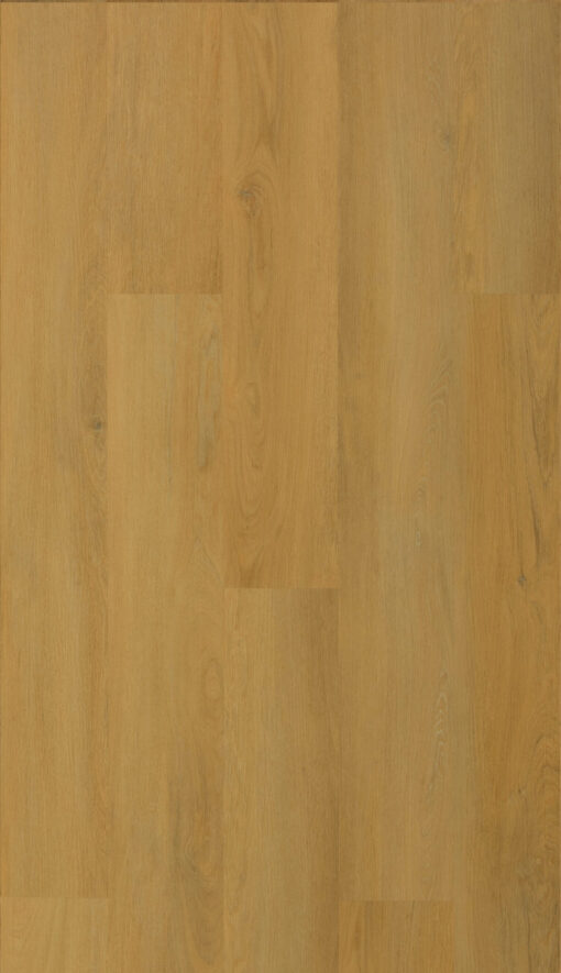 Suelo Vinílico Indo Floor Elite Roble Ambar Silence (SPC)